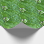 Kleine Frösche.... Geschenkpapier (Ecke)