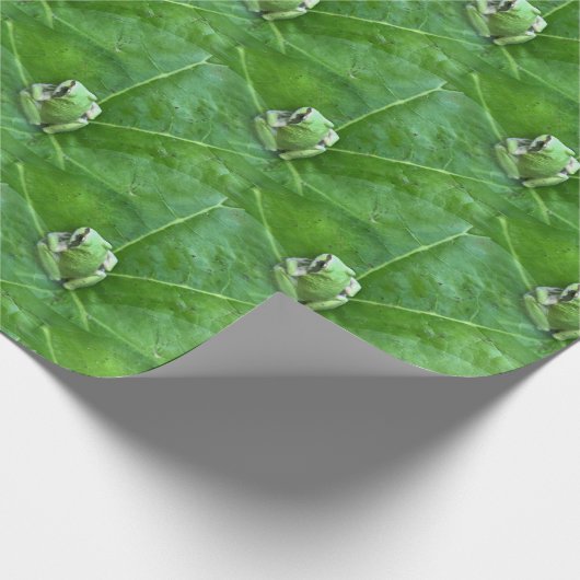 Kleine Frösche.... Geschenkpapier (Ecke)