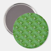 Kleine Frösche... Magnet (Vorderseite/Rückseite)
