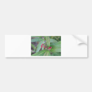 Kleine Frühlingsblüten Autoaufkleber