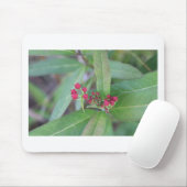 Kleine Frühlingsblüten Mousepad (Mit Mouse)