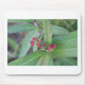 Kleine Frühlingsblüten Mousepad (Vorne)