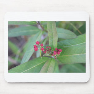 Kleine Frühlingsblüten Mousepad