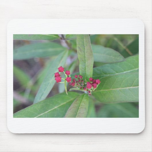 Kleine Frühlingsblüten Mousepad (Vorne)