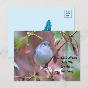 Kleine Geburtstagskarte für Vögel Postkarte