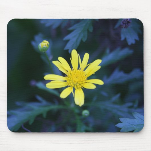 kleine gelbe Blume Mousepad (Vorne)