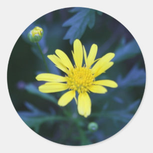 kleine gelbe Blume Runder Aufkleber