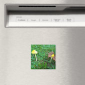 Kleine gelbe Pilze Magnet (In Situ (Geschirrspüler))