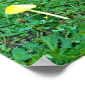 Kleine gelbe Pilze Poster (Ecke)