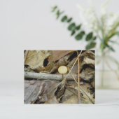 Kleine gelbe Pilzpostkarte Postkarte (Stehend Vorderseite)