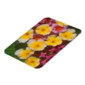 Kleine, gelbe tropische Blume mit rosafarbenen Bud Magnet (Linke Seite)