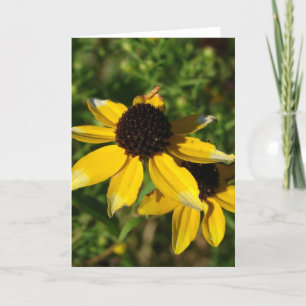 Kleine gelbe Wildblumen Karte