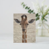 Kleine Giraffe Postkarte (Stehend Vorderseite)