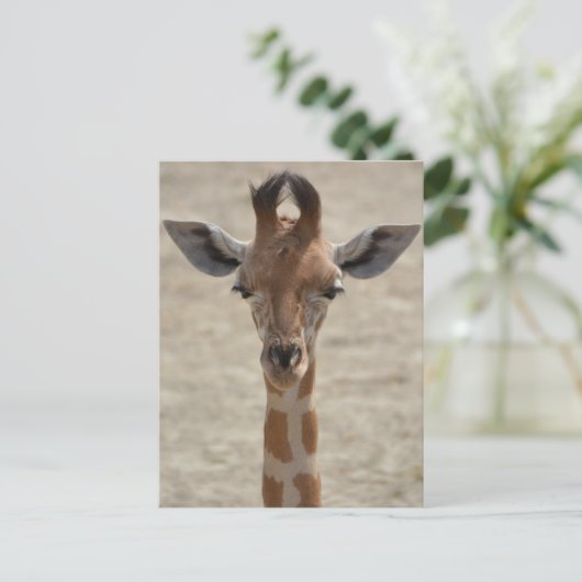 Kleine Giraffe Postkarte (Stehend Vorderseite)