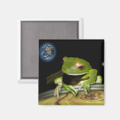 KLEINE GREEN FROG MAGNET (Vorderseite/Rückseite)