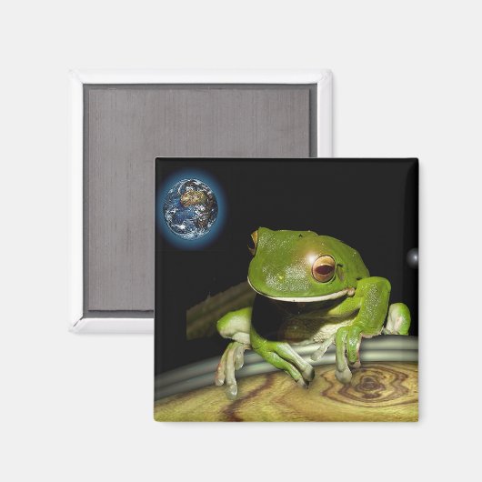 KLEINE GREEN FROG MAGNET (Vorderseite/Rückseite)