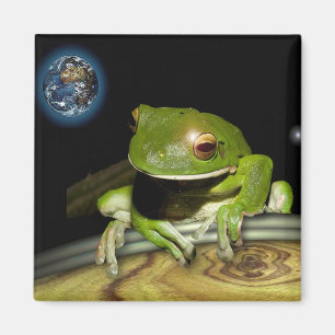 KLEINE GREEN FROG MAGNET