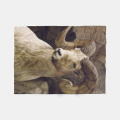 Kleine große Horn-Schaf-Fleece-Decke Fleecedecke (Vorderseite (Horizontal))