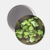 Kleine Grüntöne Magnet (Vorderseite/Rückseite)