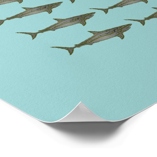 kleine Haie Poster (Ecke)