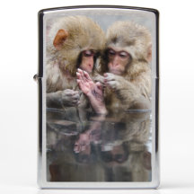 Kleine heiße Quellen der Affe-|, Japan