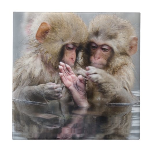 Kleine heiße Quellen der Affe-|, Japan Fliese (Vorderseite)