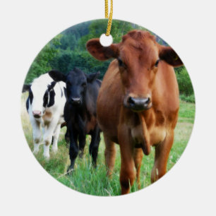 Kleine Herde von drei Kühen Keramik Ornament