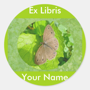 Kleine Holz-Satyr-Schmetterlingskoordinierungselem Runder Aufkleber