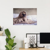 Kleine Hunde fühlen die Kälte Poster (Heimbüro)