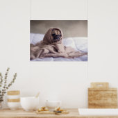 Kleine Hunde fühlen die Kälte Poster (Küche)