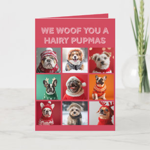 Kleine Hunde in Sweaters Weihnachtskarte Feiertagskarte