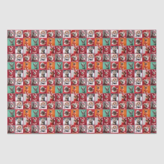 Kleine Hunde in Sweaters Wrapping Paper Roll Seidenpapier (Vorderseite)
