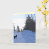 Kleine Hundescharte Karte (Gelbe Blume)