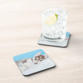 Kleine Husky-Welpe, die auf der Decke spielt Getränkeuntersetzer (Rechte Seite)