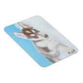 Kleine Husky-Welpe, die auf der Decke spielt Magnet (Rechte Seite)