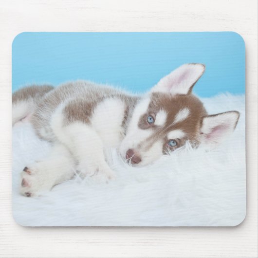 Kleine Husky-Welpe, die auf der Decke spielt Mousepad (Vorne)