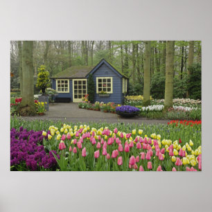 Kleine Hütte Blume, Keukenhof Gardens, Poster
