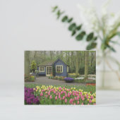 Kleine Hütte Blume, Keukenhof Gardens, Postkarte (Stehend Vorderseite)