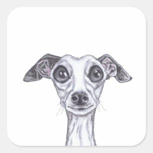KLEINE ITALIENISCHE GREYHOUND g869 Quadratischer Aufkleber