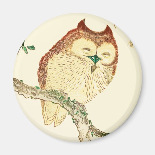 Kleine japanische Eule Magnet (Vorne)