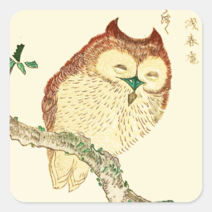 Kleine japanische Eule Quadratischer Aufkleber