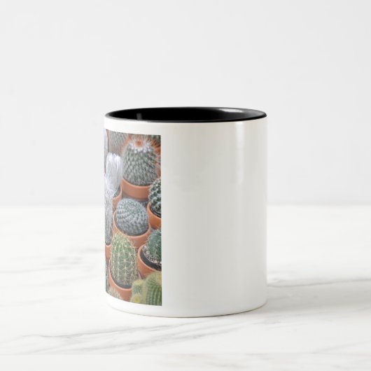 Kleine Kakteen-Pflanze Zweifarbige Tasse (Mittel)