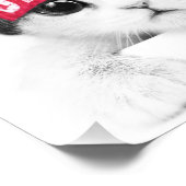 Kleine Katze Fotodruck (Ecke)