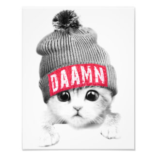 Kleine Katze Fotodruck