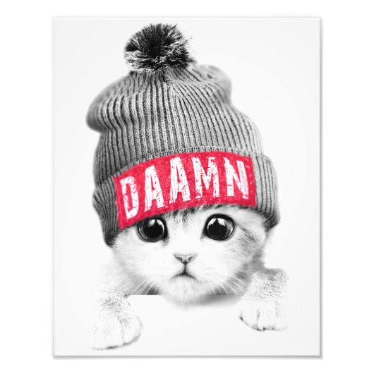 Kleine Katze Fotodruck (Vorne)