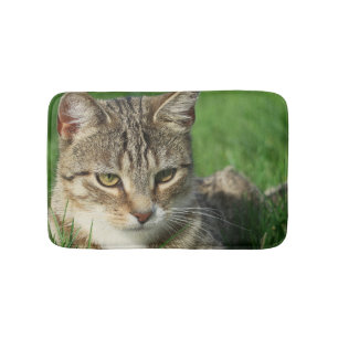 kleine Katze in grünem Gras Badematte