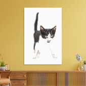 Kleine Katze Leinwanddruck (Insitu (Wohnzimmer))