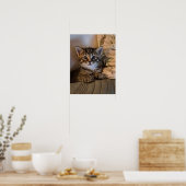 Kleine Katze Poster (Küche)