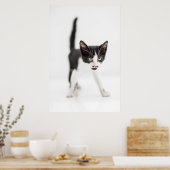 Kleine Katze Poster (Küche)