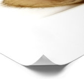 KLEINE KATZE POSTER (Ecke)